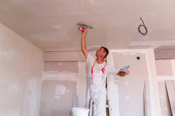 Best Ceiling Drywall Installation  in Rockport, TX